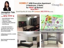 Blk 119 Bishan Street 12 (Bishan), HDB Executive #136321442